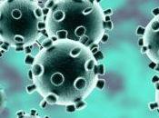 Coronavirus: confirma primer caso África subsahariana