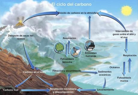 Resultado de imagen para dioxido de carbono