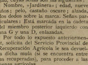 Desaparición mula Gregorio Pérez Escolar (1939)