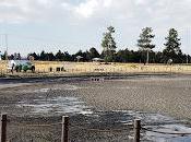 Realiza mantenimiento lago “los ahuehuetes” parque ambiental bicentenario metepec