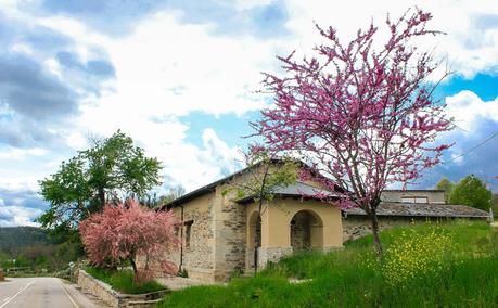 Una casa de alquiler desde 40€ al mes para familias que mantengan la escuela abierta