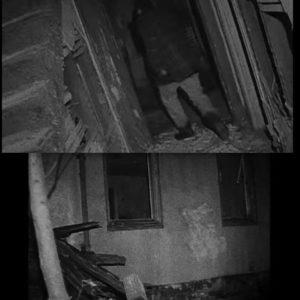 Historia real de la Bruja de Blair (PARTE 2) Historia real de la Bruja de Blair (PARTE 2)