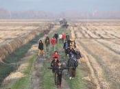 Vergüenza. civilizada Europa