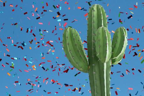 1x09 La jirafa que asoma - Carnaval, carnaval