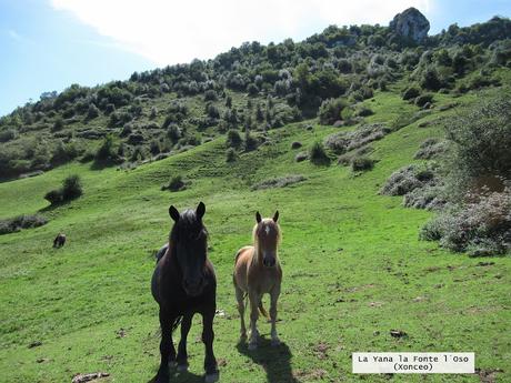 Viapará-L´Angliru-Gamonal
