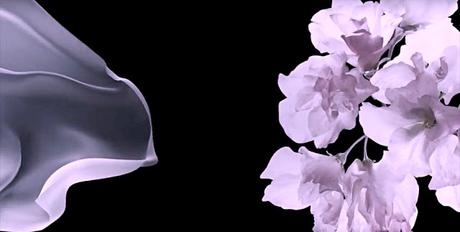 La Lujosa Línea Sensai Ultimate Aumenta con Tres Nuevos Productos ingredientes-activos-ultimate