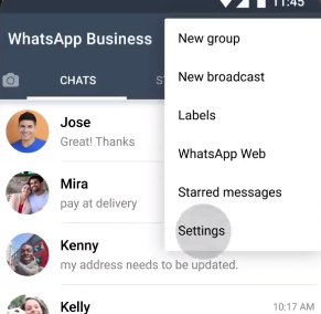 Catálogos de WhatsApp para empresas: Muestra tus productos