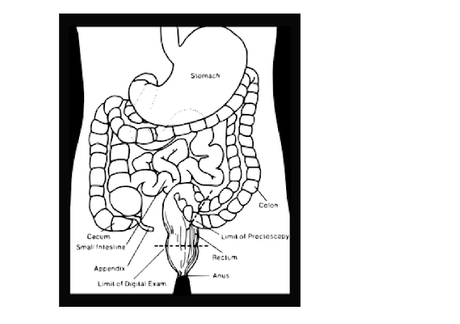 PRE Y PROBIÓTICOS Y LOS ALIMENTOS QUE LOS CONTIENEN PRE Y PROBIÓTICOS Y LOS ALIMENTOS QUE LOS CONTIENEN
