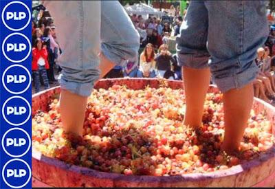 GRL PROMUEVE XVIII FESTIVAL DE LA VENDIMIA 2020 EN BARRANCA…