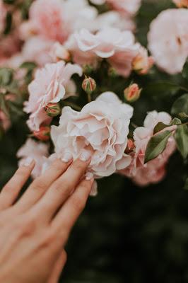 Manos cuidadas tocando unas flores