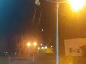 Plaza Huincul: hombre perra recibieron descarga eléctrica poste