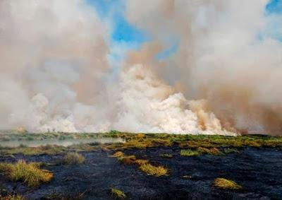 SALDO BLANCO EN INCENDIO DE ATENCO