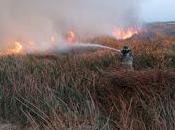 Saldo blanco incendio atenco