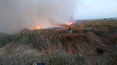 SALDO BLANCO EN INCENDIO DE ATENCO