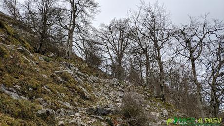 Inicio del Camín de la Madera tras el río Pomperi