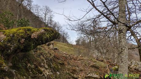 ALTO LOS BURGIÑALES por el CAMÍN DE LA MADERA desde PANDECARMEN