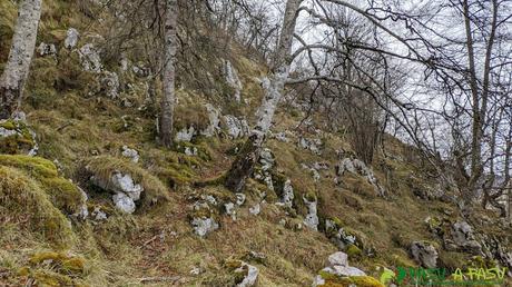 Camín de la madera subiendo al Pasu del Escaleru