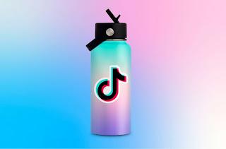 ¿Cómo blindar el perfil de TikTok de hackers y haters?