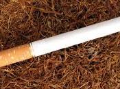 Prohibición alternativas consumo nicotina fomenta mercado negro