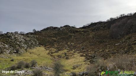 Vega de Ciarda, Cangas de Onís