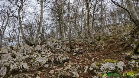 Bosque y caliza hacia Vega de Ciarda