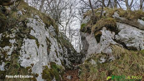 Pasu del Escaleru en el Camín de la Madera