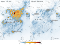 De virus, pandemias y otros espantos