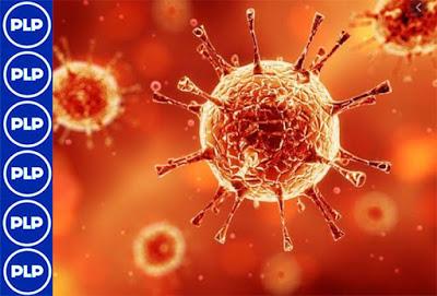 EL CORONAVIRUS INGRESO AL PERÚ…