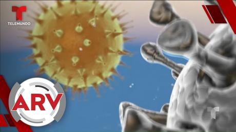 ¿Hay un avance en la investigación de Coronavirus?