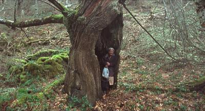 O QUE ARDE (Lo que arde) (décimo quinta 2020) (, España, Francia Luxemburgo; 2019) Vida normal, Drama
