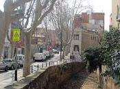 torrent carabassa Catalunya Plural