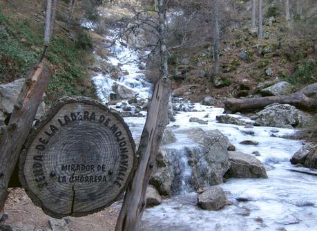 Chorrera de Mojonovalle y abedular de Canencia. Ruta fácil en la Sierra de Guadarrama (Madrid)