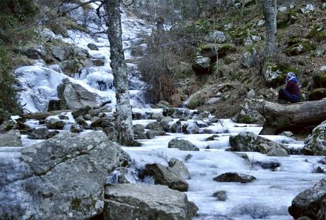 Chorrera de Mojonovalle y abedular de Canencia. Ruta fácil en la Sierra de Guadarrama (Madrid)