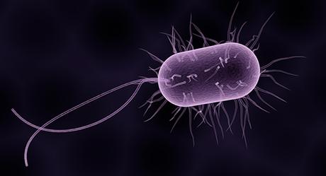 Erradicación de Helicobacter pylori en dispepsia funcional