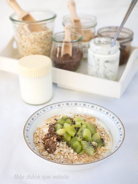 Yogur natural sin azúcar en yogurtera