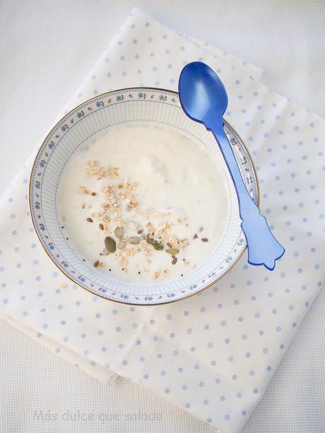 Yogur natural sin azúcar en yogurtera