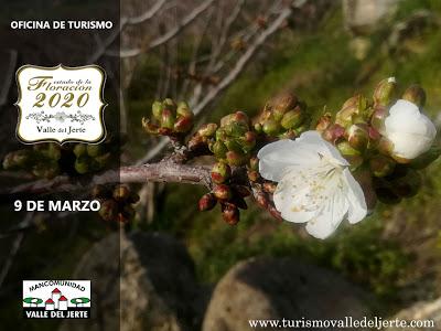 Primavera y Cerezo en Flor Valle del Jerte Primavera y Cerezo en Flor Valle del Jerte