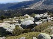 Siete picos, otra vez.