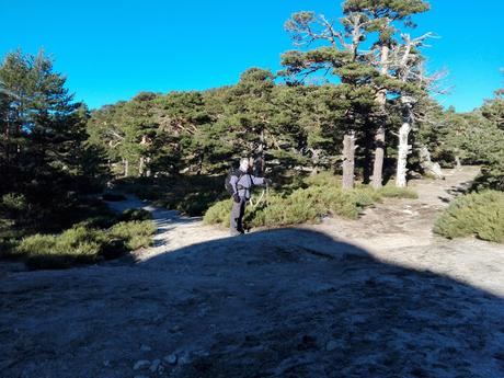 SIETE PICOS, OTRA VEZ.