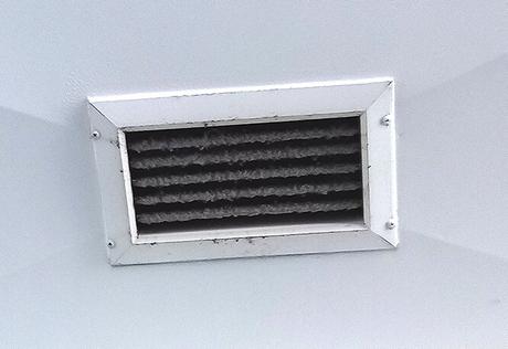 Crónicas del campo santo, Nº 1: beban agua solarizada.