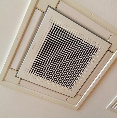 Crónicas del campo santo, Nº 1: beban agua solarizada.