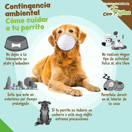 Crónicas del campo santo, Nº 1: beban agua solarizada.