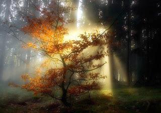 calma y serenidad calma y serenidad