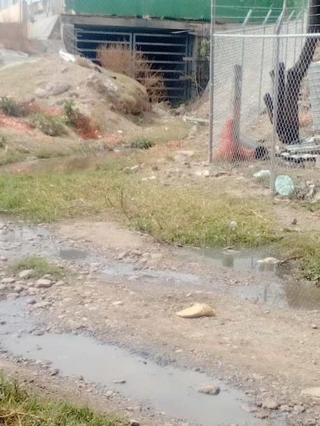 Acusan a empresa de contaminar el Río Paisanos con sus desechos