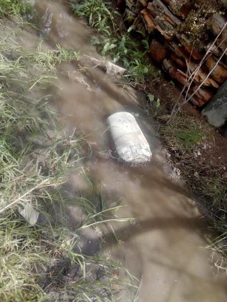 Acusan a empresa de contaminar el Río Paisanos con sus desechos