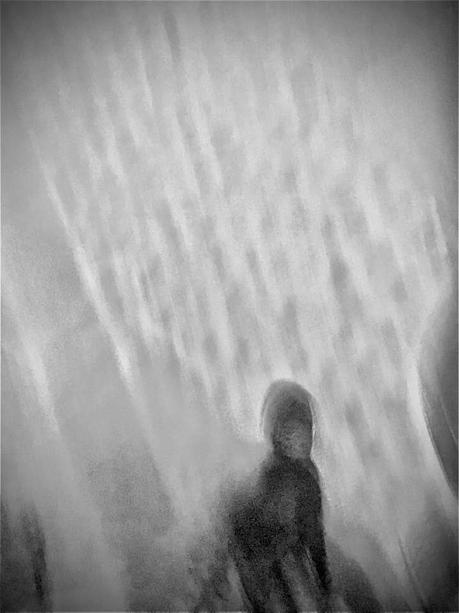 La imagen puede contener: una o varias personas, exterior y agua