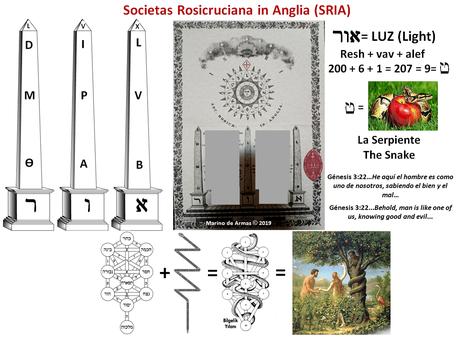 El viaje secreto del Zelator