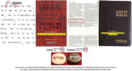 El viaje secreto del Zelator