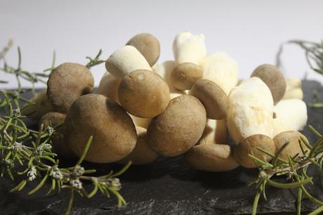 VITAMINA D VITAMINA D