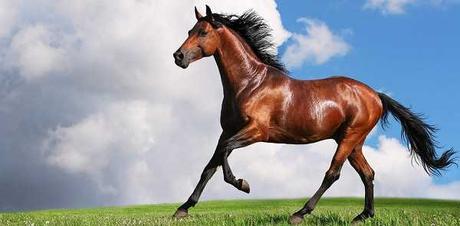 Danilo Medina, Leonel Fernández, Luis Abinader